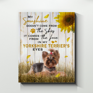 Canvas Prints – My Sunshine