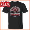 South Carolina Gamecocks 2022 Division I Basketball National Champions T Shirt